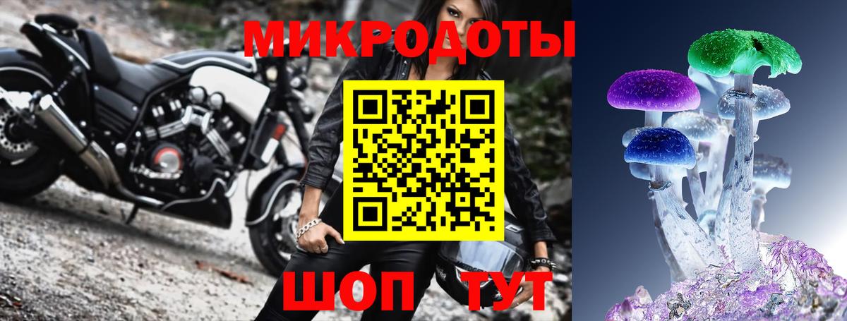 что такое   Вход с VPN  Брянск  Псилоцибиновые грибы прущие грибы 
